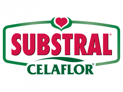 Celaflor