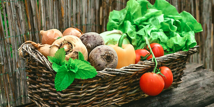 Wie der eigene Garten die Einstellung zu Lebensmitteln und der eigenen Ernährung ändern kann