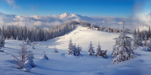 My Village | Achtergronddoek winterbos | 150x75cm